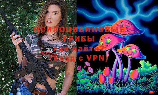 ALPHA-PVP Алексеевка