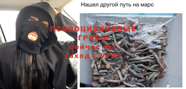 ешки Алексин